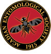AES Logo